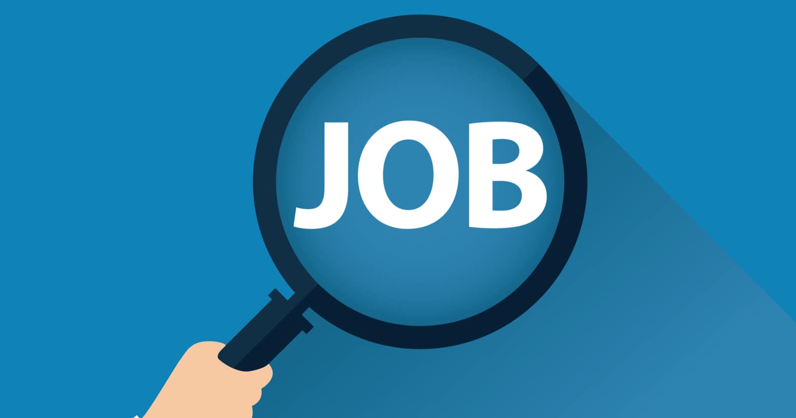 DIRECTEUR DE PROJET (BUSINESS DEVELOPER)