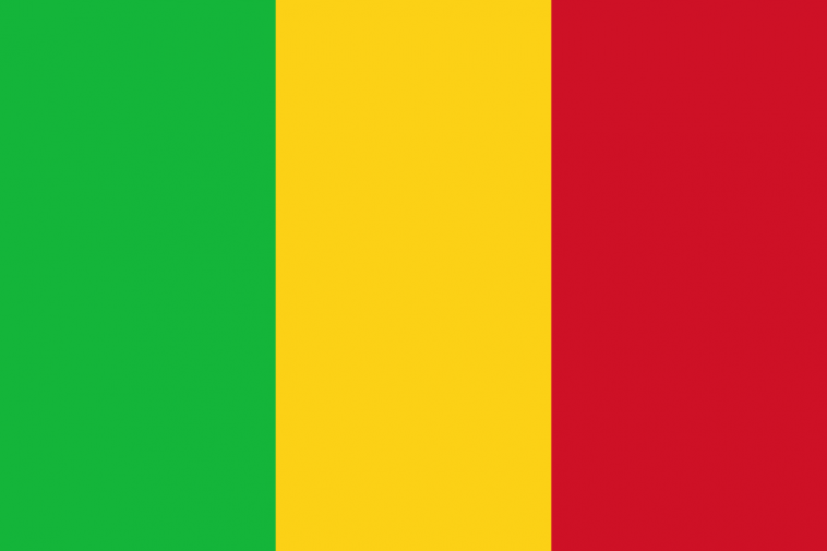 Résultats Examen de passage IFM et IFH Mali 2021