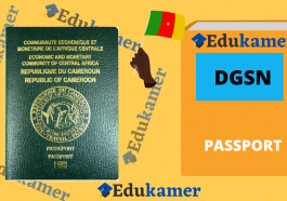 Nouvelle procédure de demande de passeport biométrique au Cameroun 2022