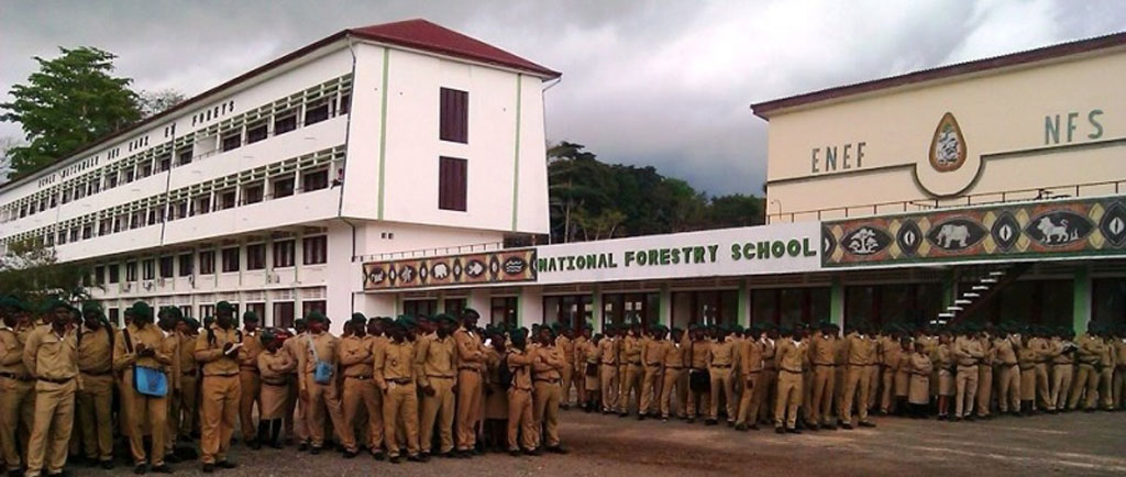 Forestry concours 2022-2023: Concours ENEF Mbalmayo 2022