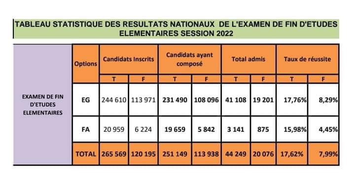 Résultats du CEE 2022 en Guinée Conakry : Liste des admis