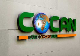 concan2023.ci: Guide concours de la mascotte de la CAN 2023 Côte d'Ivoire
