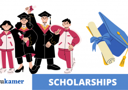 Bourses d'études Minerva Scholarship Fund à l'Université de Leyde aux Pays-Bas 2022-2023