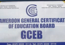 GCE 2022: Cameroon GCE board latest news Update 2022-2023