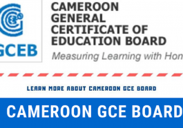 Cameroon GCE 2022 Results: When will the list of successful candidates be released?