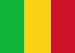 résultats du CAP 2022 au Mali