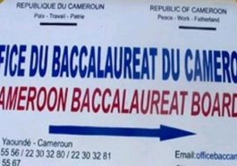 Résultats Probatoir technique 2022 au Cameroun : Quand consulter la liste des admis ?