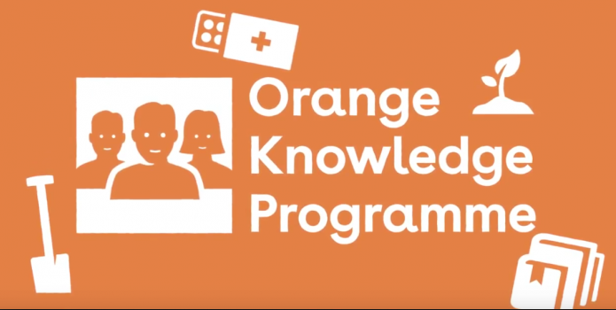Hague Academy Orange Knowledge & MENA Scholarship Programme 2022-2023