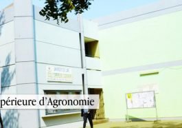 École Supérieure d'Agronomie de l'Université de Lomé (ESA/UL)