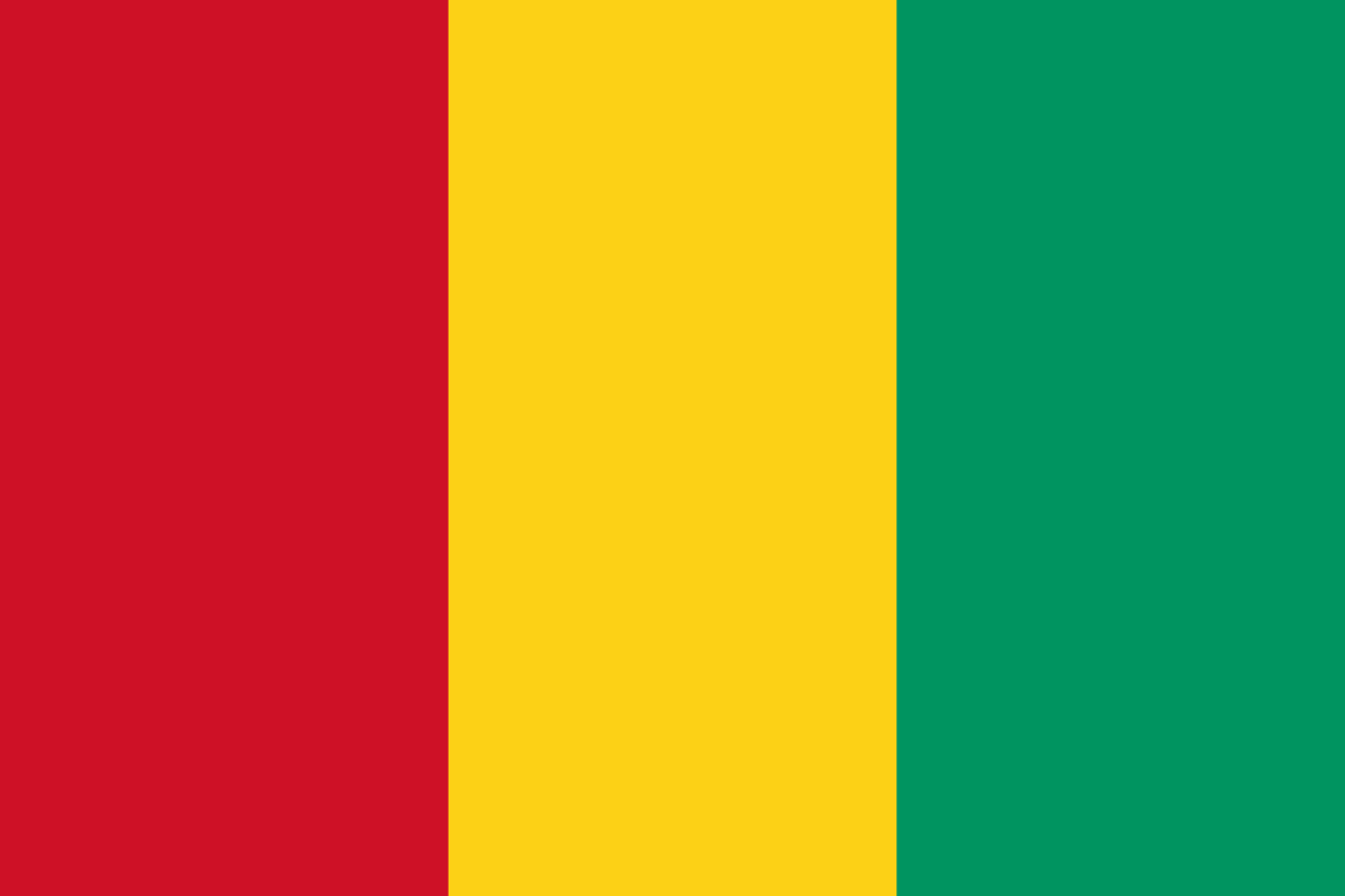 Guinée / Enseignement technique : le président de la transition institue des bourses d'études et d'entretiens