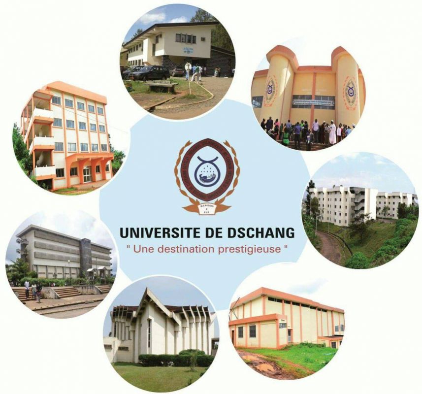 L'Université de Dschang (UDS) 3 L'Université de Dschang (UDS)