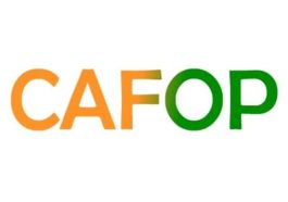 Calendrier du concours CAFOP 2023