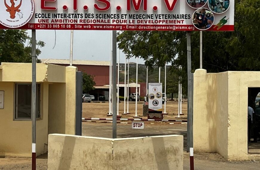Concours d'entrée à l'Ecole Inter-Etats des Sciences et Médecine Vétérinaires (EISMV) 2024