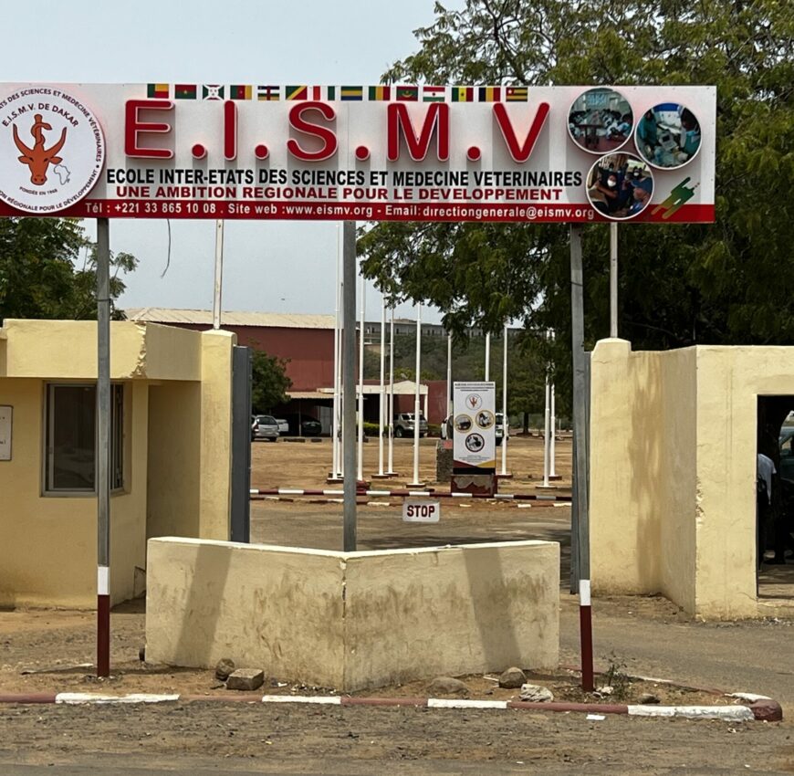 Concours d'entrée à l'Ecole Inter-Etats des Sciences et Médecine Vétérinaires (EISMV) 2024