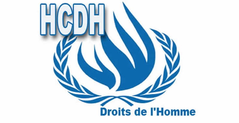 Chargé(e) des droits de l'homme (TJO)