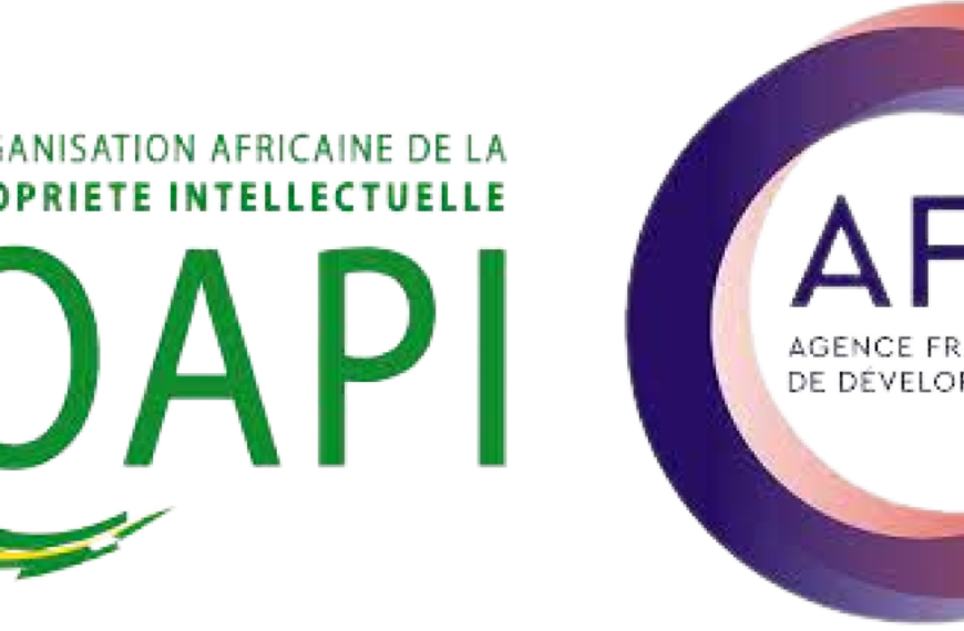 Appel à candidatures - Seizième édition de son Programme de Master en Propriété Intellectuelle 2025 de l’OAPI
