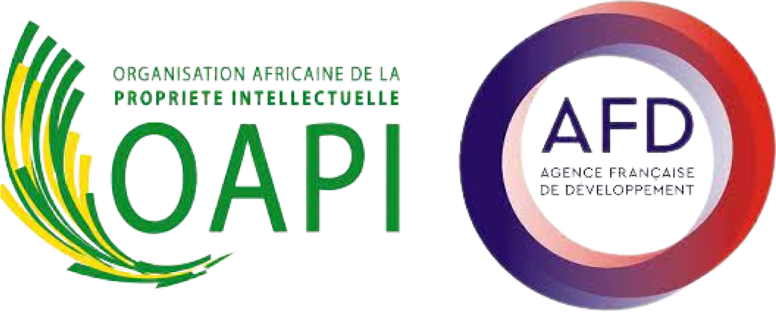 Appel à candidatures - Seizième édition de son Programme de Master en Propriété Intellectuelle 2025 de l’OAPI