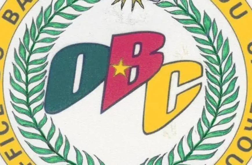 Réforme de l’examen du Probatoire BT ESF dès 2025 au Cameroun